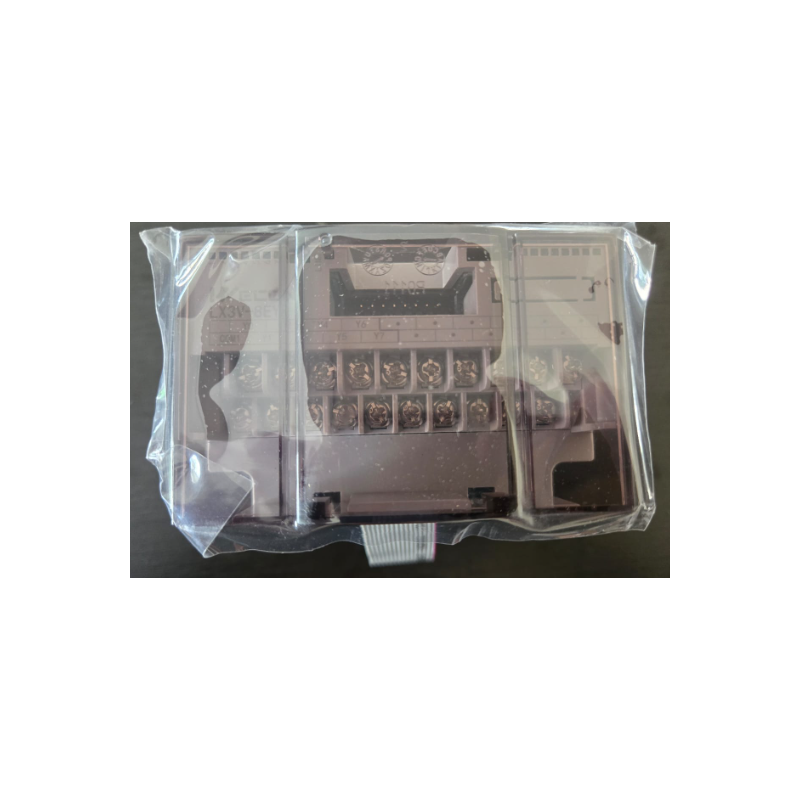 Módulo PLC LX3V WECON salidas digtiales relay 8DOR LX3V-8EYR